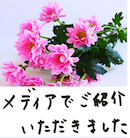 著書/メディア掲載