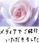 著書/メディア掲載