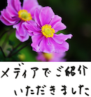 著書/メディア掲載