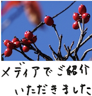 著書/メディア掲載