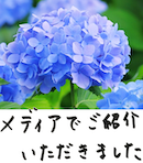 著書/メディア掲載