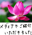 著書/メディア掲載