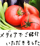 著書/メディア掲載