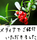 著書/メディア掲載