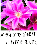 著書/メディア掲載